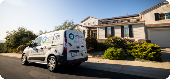 residential pest control